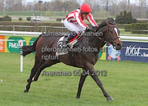 Lumisson 3 Zwahlen prot